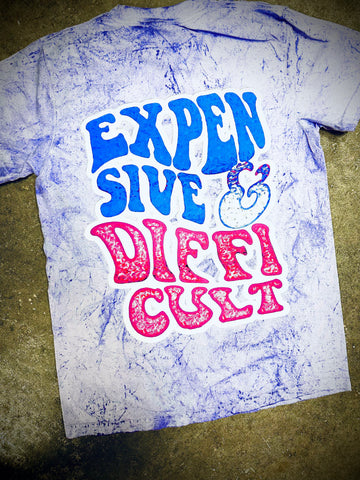 Expensive and Difficult 2.0 Purple Dye Tee